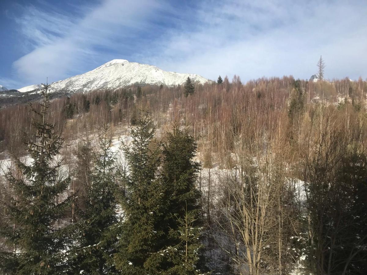 Apartmany Vila Vlasta Vysoké Tatry Εξωτερικό φωτογραφία