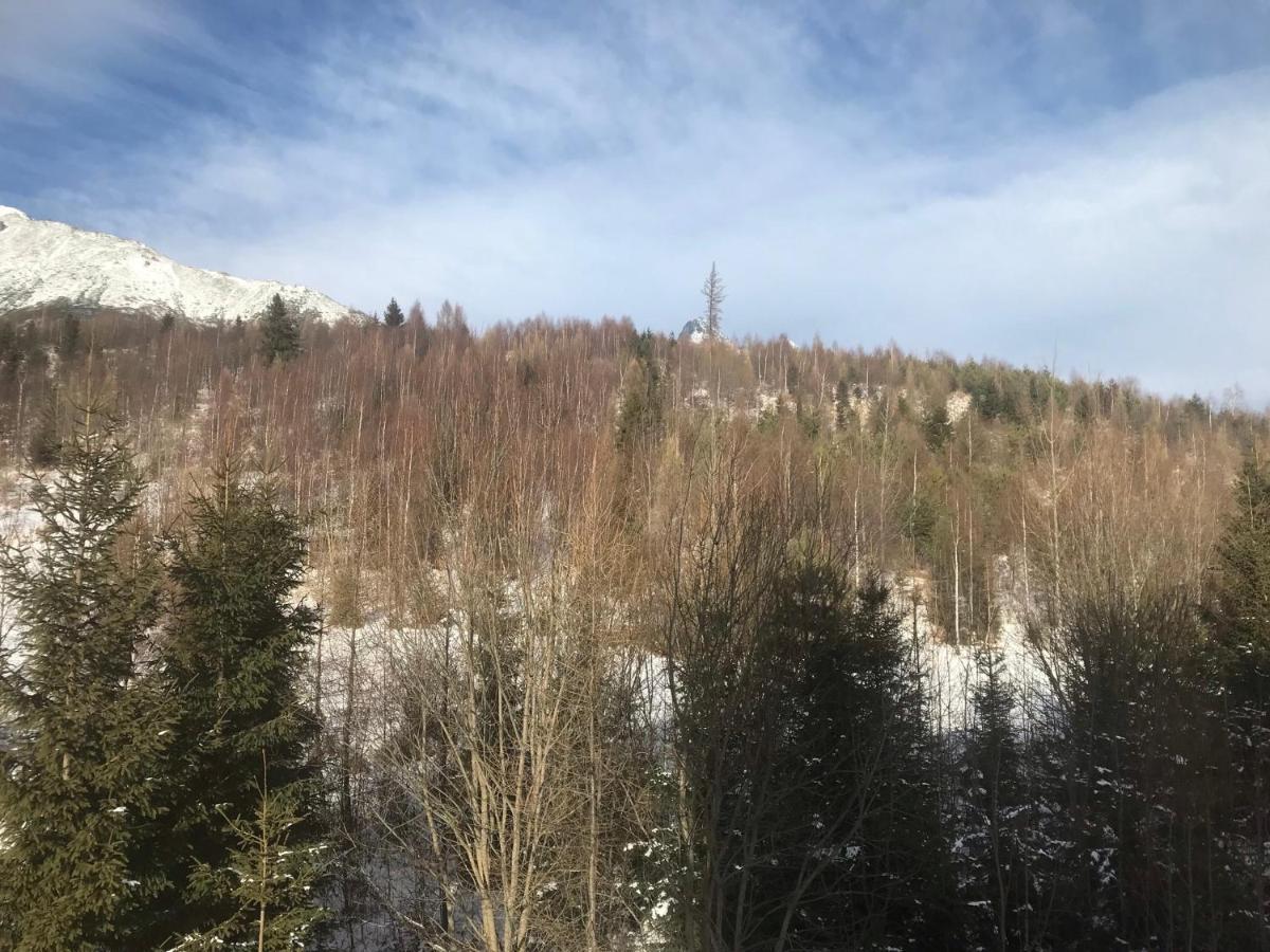 Apartmany Vila Vlasta Vysoké Tatry Εξωτερικό φωτογραφία
