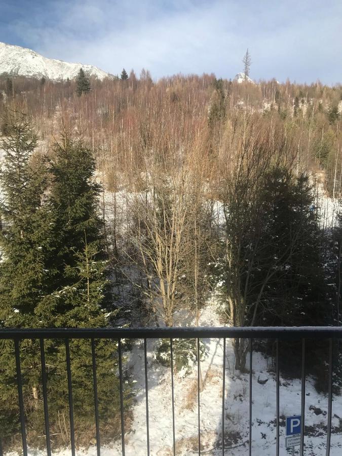 Apartmany Vila Vlasta Vysoké Tatry Εξωτερικό φωτογραφία