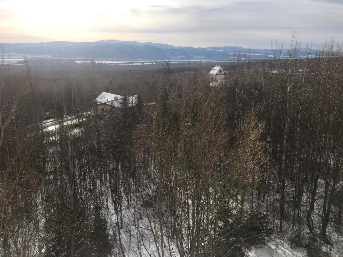 Apartmany Vila Vlasta Vysoké Tatry Εξωτερικό φωτογραφία